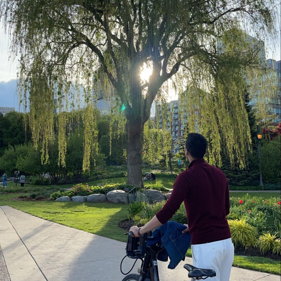 Bike Ride to the Waterfront (Toronto Music Garden)